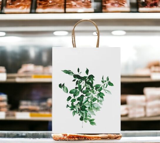 Пакет бумажный ARCE / Крафтовый пакет 25х31х11 см, с короткими усиленными ручками витой формы